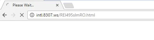 intl.8307.ws virus