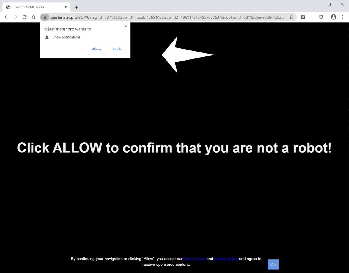 Remove Tujestimater.pro pop-up ads (Virus Removal Guide) 1 Image: Chrome browser is redirected to Tujestimater.pro