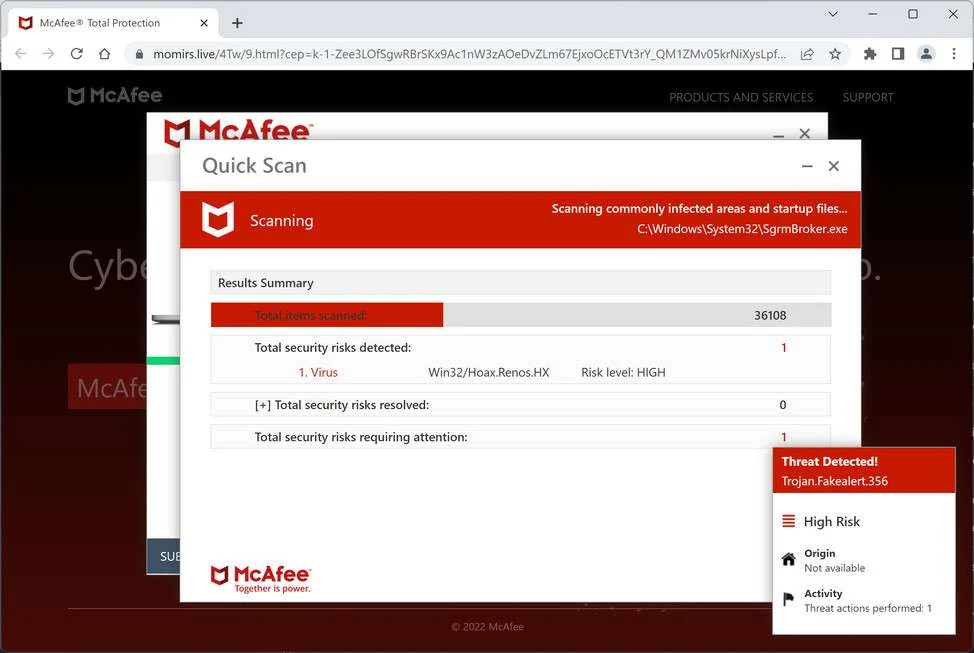 Image: Chrome browser is redirected to the Dynamic-standard.com site