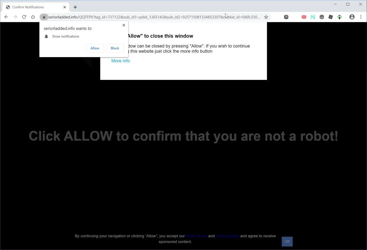 Image: Chrome browser is redirected to Seriorladded.info