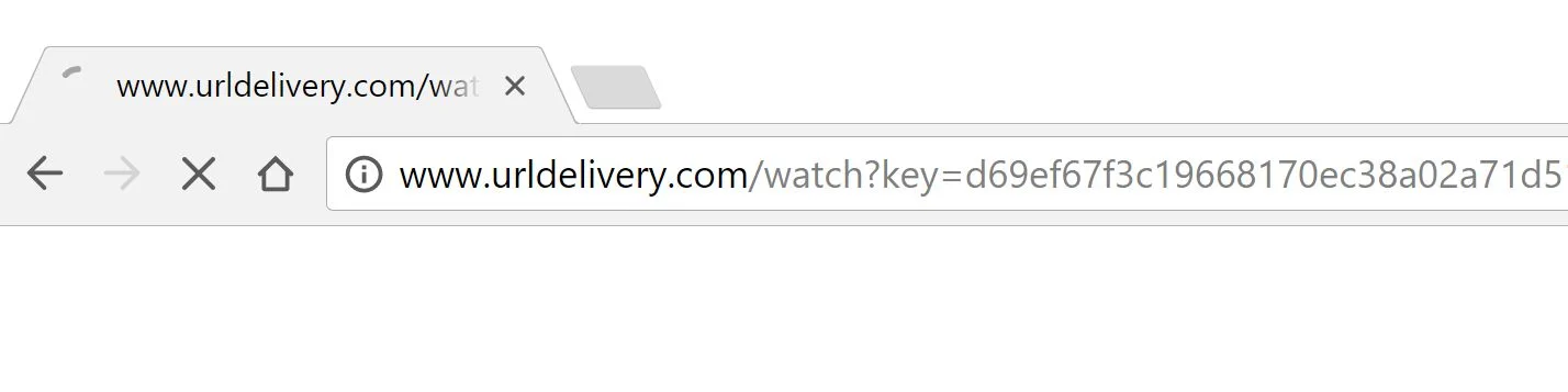 www.urldelivery.com redirect virus