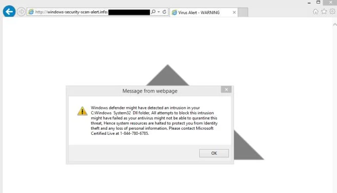 Windows-security-scan-alert.info virus