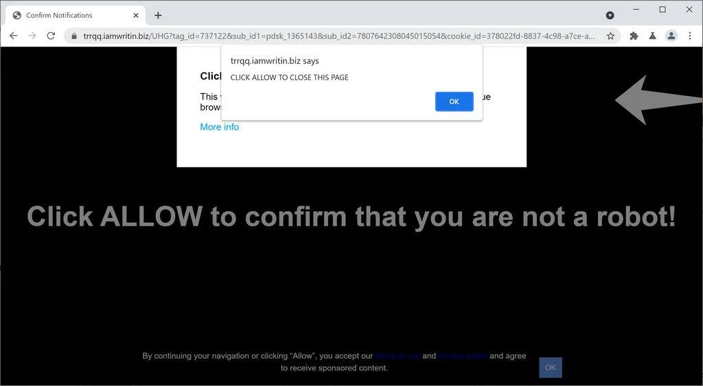 Remove Iamwritin.biz pop-up ads (Virus Removal Guide) 1 Image: Chrome browser is redirected to Iamwritin.biz