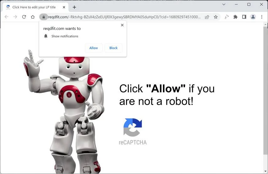 Image: Reqdfit.com ads