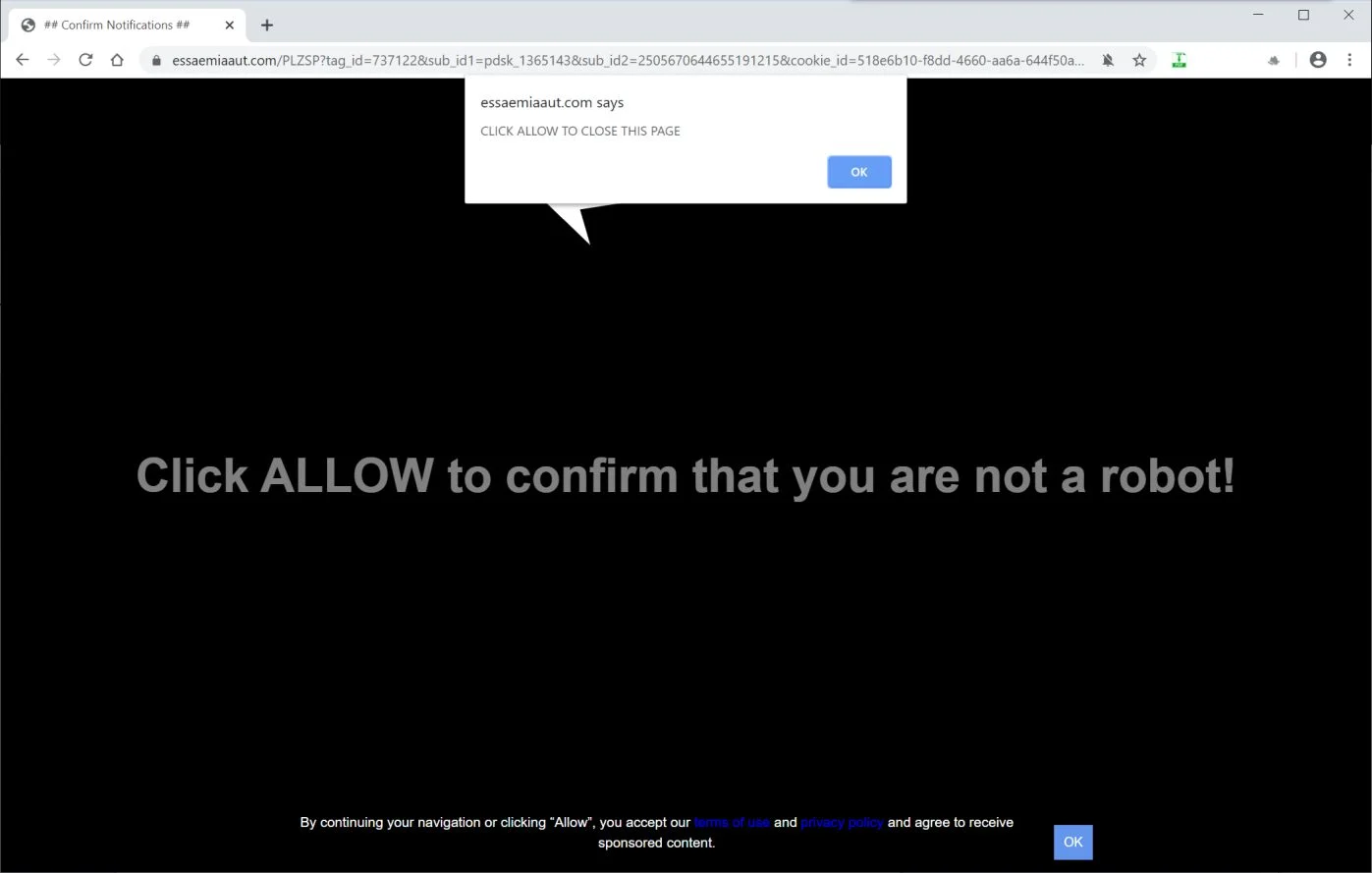 Image: Chrome browser is redirected to Essaemiaaut.com