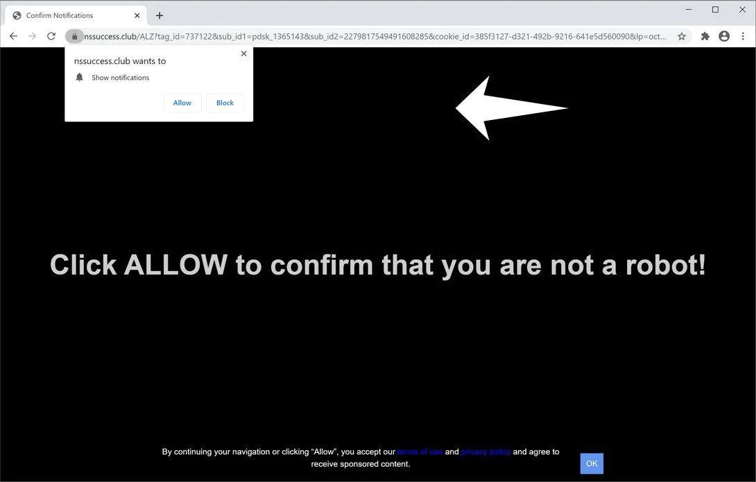 Remove Nssuccess.club pop-up ads (Virus Removal Guide) 1 Image: Chrome browser is redirected to Nssuccess.club