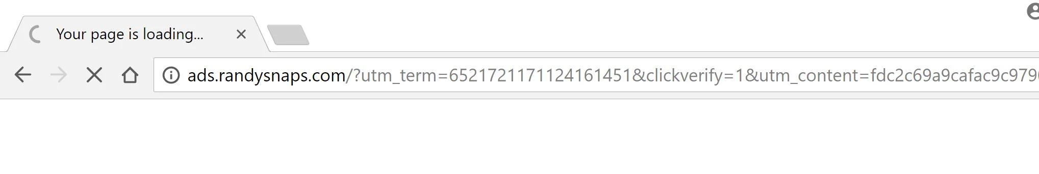 ads.randysnaps.com redirect ads.randysnaps.com redirect virus