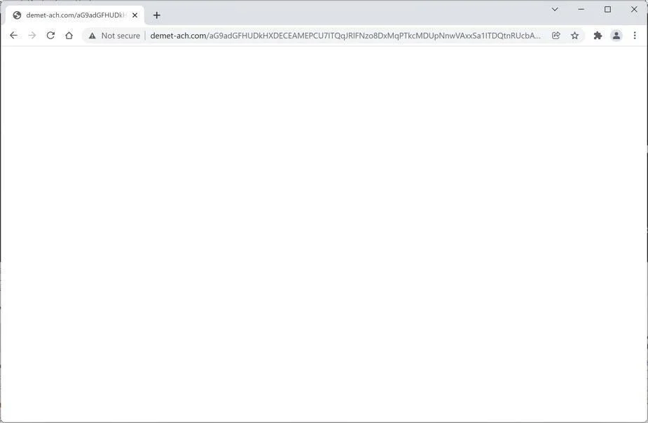 Image: Demet-ach.com Chrome browser redirect
