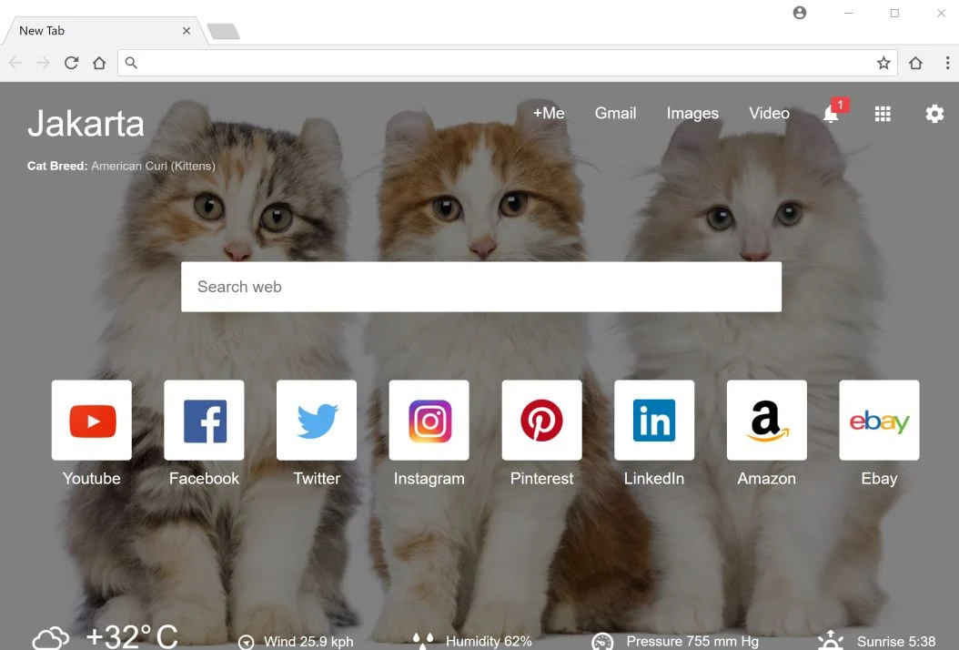 Cat Start - New Tab Page redirect virus