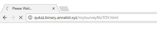 qukzz.binary.annalist.xyz virus