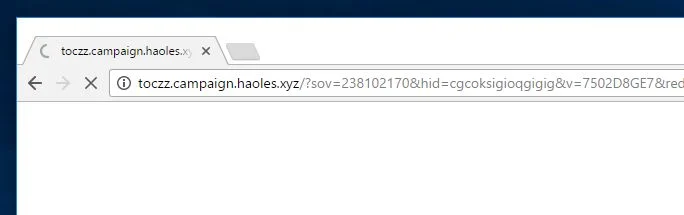 toczz.campaign.haoles.xyz virus