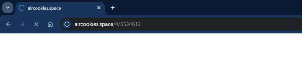 Aircookies.space redirect