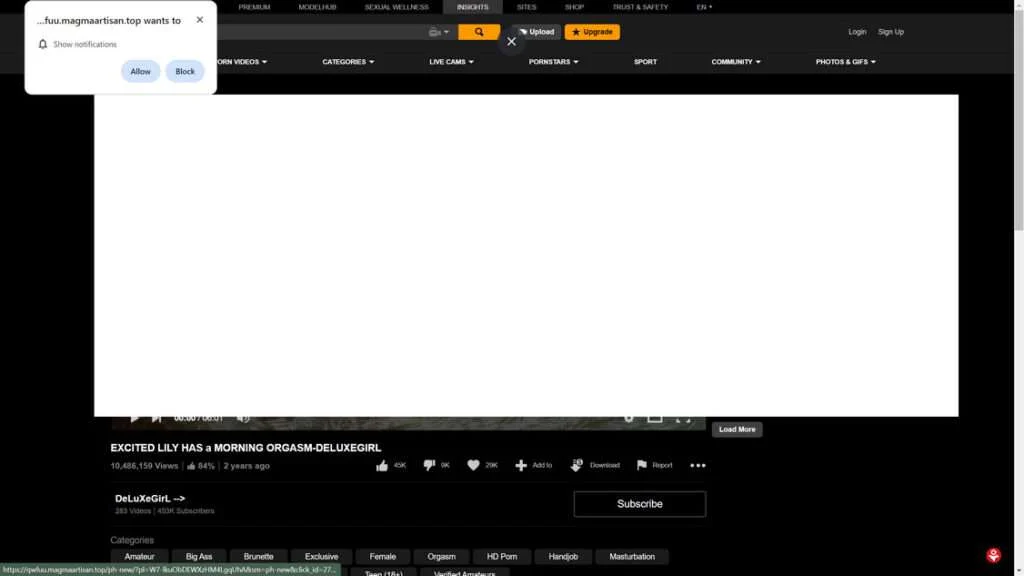Magmaartisan.top malware