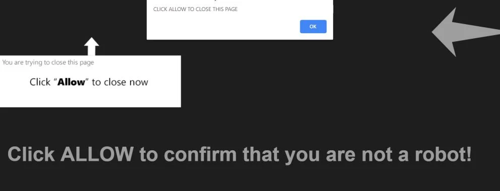 Image: Chrome browser is redirected to the Looksslike.com site