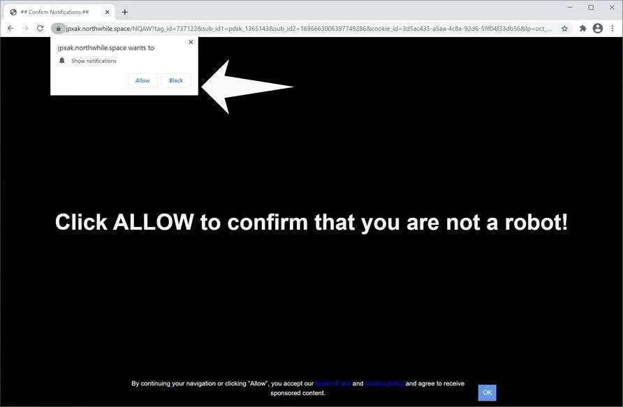 Remove Northwhile.space pop-up ads (Virus Removal Guide) 1 Image: Chrome browser is redirected to Northwhile.space
