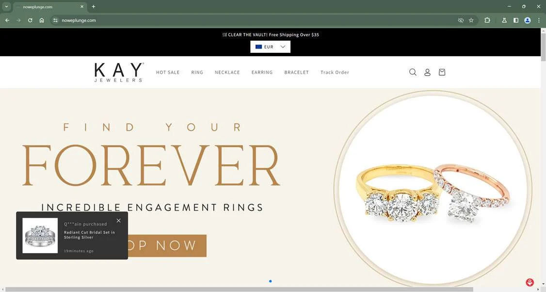 Noweplunge.com Scam Store Exposed - Stay Away Entirely 1 Noweplunge.com scam