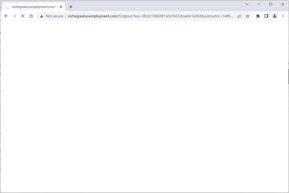Image: Chrome browser is redirected to the Nichegreatunemployment.com site