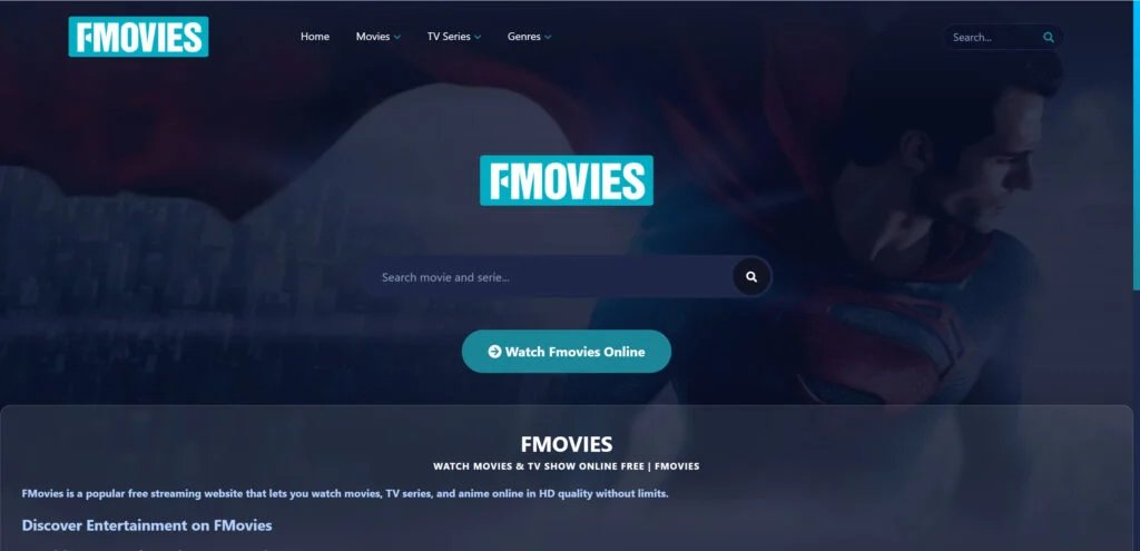 Is FMovies Safe? Why Clone Streaming Sites Are Riskier Than Ever 2 2 4