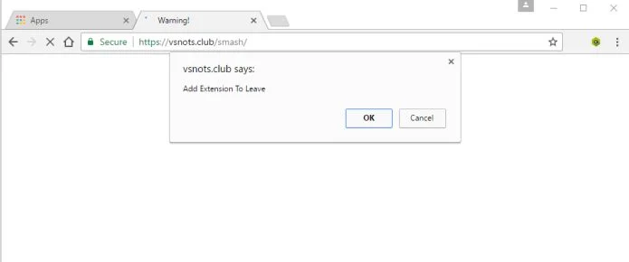 Remove FallingNYs Chrome extension by vsnots.club (Removal Guide) 2 vsnots.club virus