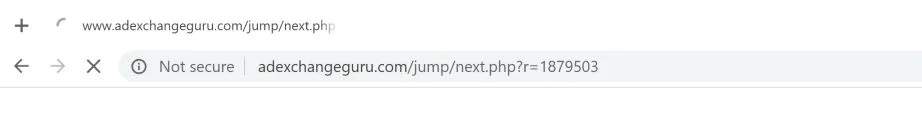 Adexchangeguru.com redirect virus