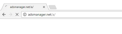 adsmanager.net/a/ virus