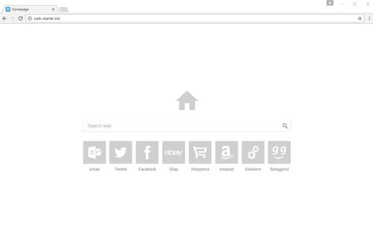 Web-starter.biz Homepage Web-starter.biz redirect