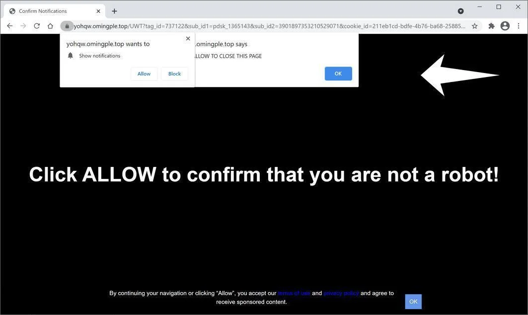Remove Omingple.top pop-up ads (Virus Removal Guide) 1 Image: Chrome browser is redirected to Omingple.top