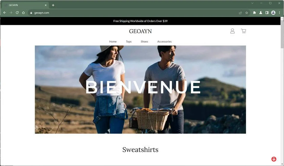 geoayn.com scam