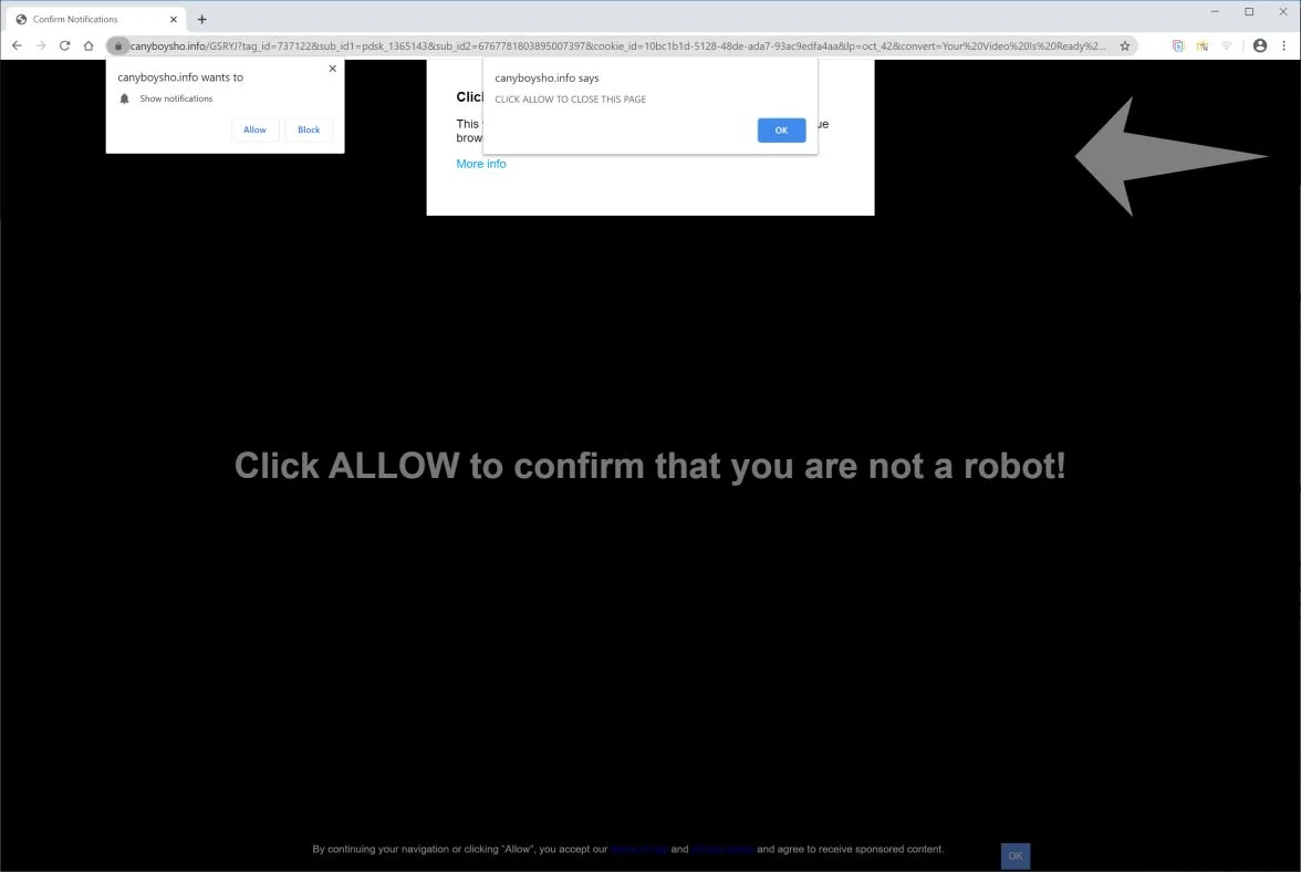 Image: Chrome browser is redirected to Canyboysho.info