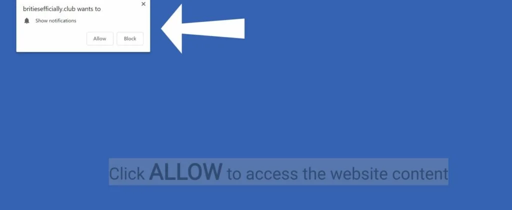Click Allow to access the website content Scam