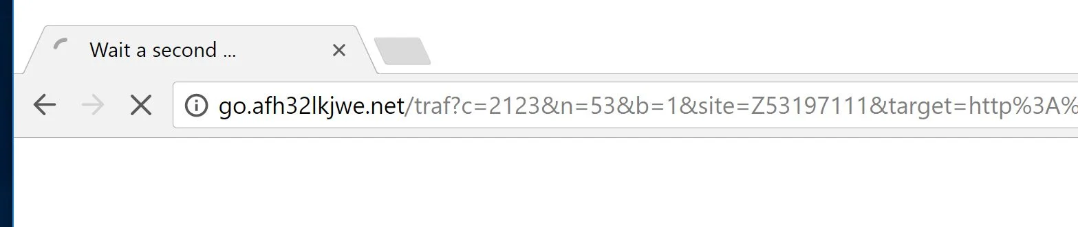 Wait a second redirect virus