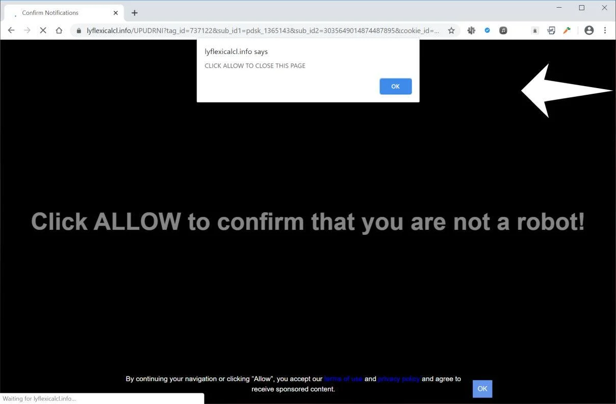 Image: Chrome browser is redirected to Lyflexicalcl.info