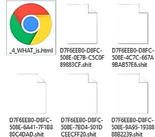 .SHIT ransomware