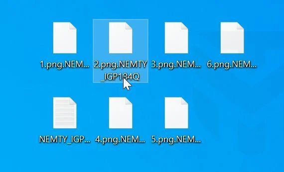 Image: NEMTY Encrypted Files