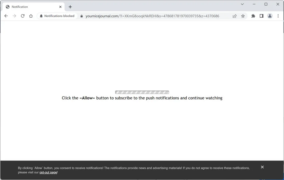 Image: Yournicejournal.com Ads