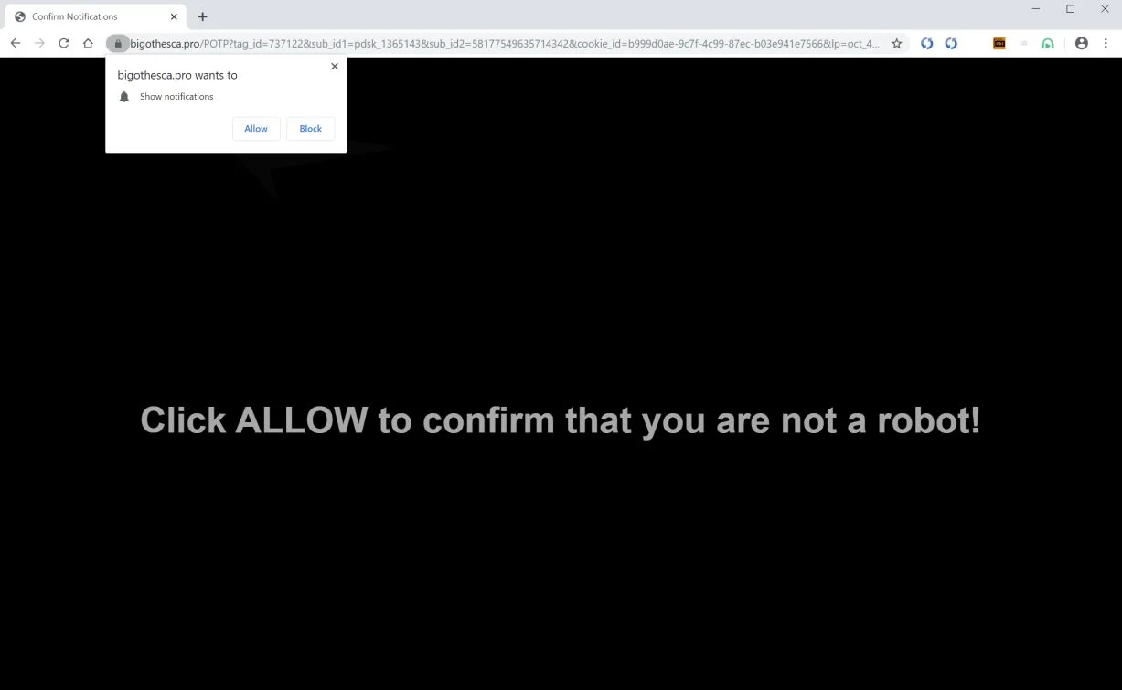 Image: Chrome browser is redirected to Bigothesca.pro