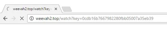Weevah2.top virus