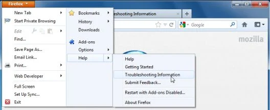 Firefox Troubleshooting Information