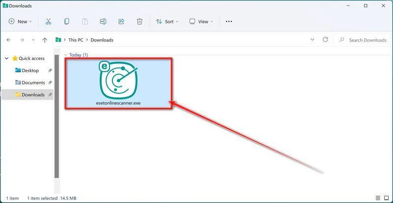 Image - Double-click on the ESET Online Scanner setup file