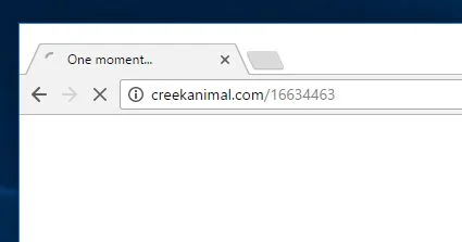 creekanimal.com virus