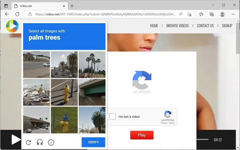 Image: Vidox.net Ads