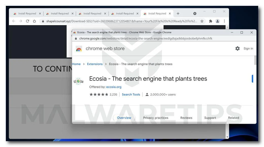 Image: Ecosia Browser Hijacker