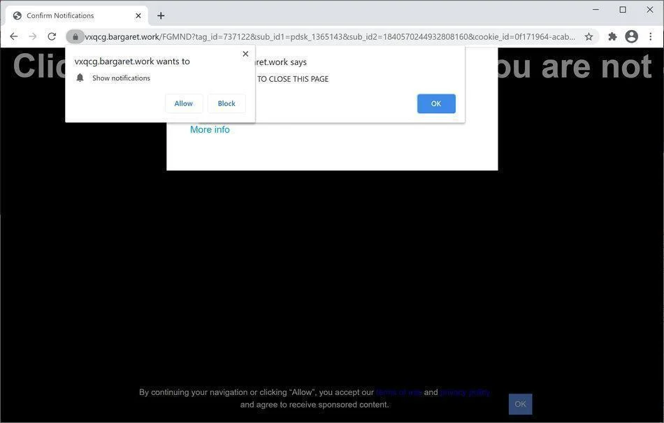 Image: Chrome browser is redirected to Bargaret.work