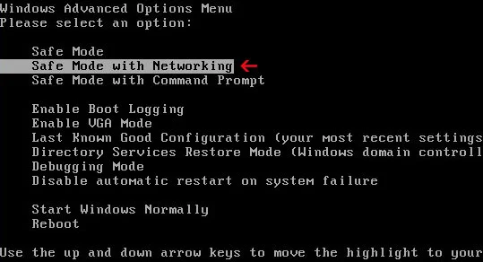 TheAnonymousGlobal Ransomware Virus - What You Need to Know 17 Safe Mode with Networking screen