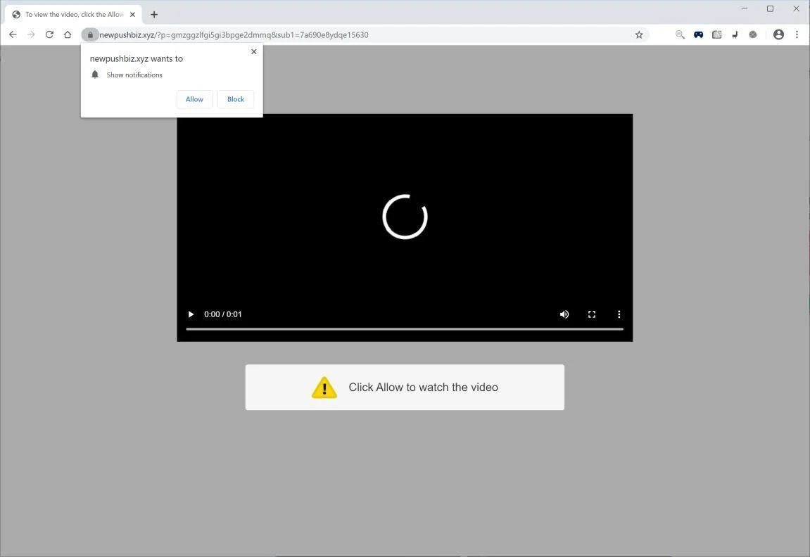 Image: Chrome browser is redirected to Newpushbiz.xyz