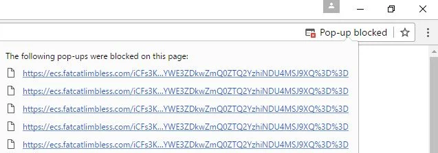 Ecs.fatcatlimbless.com virus