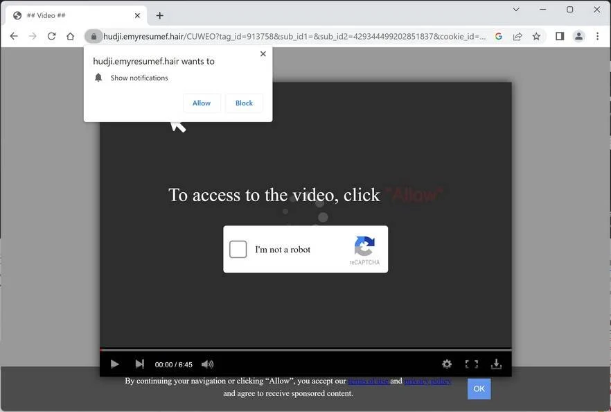 Remove Emyresumef.hair Ads (Virus Removal Guide) 1 Image: Emyresumef.hair Ads