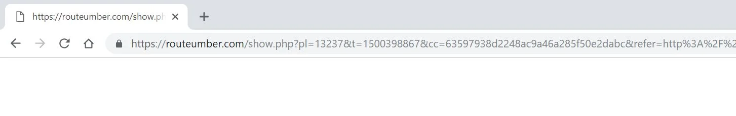 Routeumber.com redirect virus