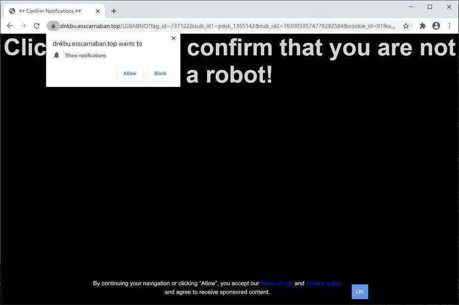 Remove Esscarnaban.top pop-up ads (Virus Removal Guide) 1 Image: Chrome browser is redirected to Esscarnaban.top