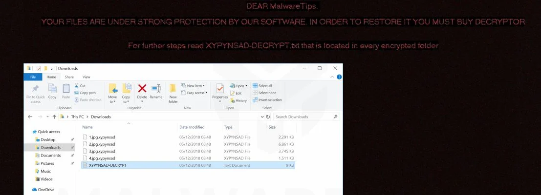 How to remove GandCrab V5.2 ransomware (Virus Removal Guide) 1 Image: GandCrab V5.2 ransomware